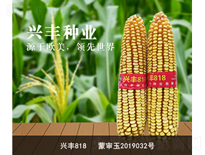 �˷�818-�˷���ҵ