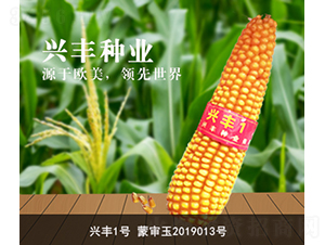 �˷�1��-�˷���ҵ