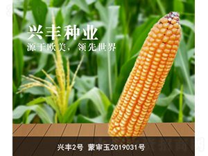 �˷�2��-�˷���ҵ