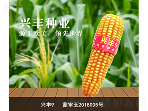 �˷�9-�˷���ҵ