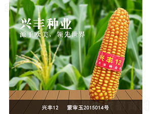 �˷�12-��������-�˷���ҵ