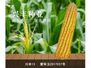 �˷�13-��������-�˷���ҵ