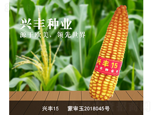 �˷�15-��������-�˷���ҵ