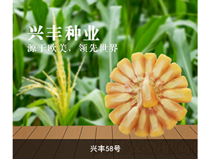 �˷�58��-��������-�˷���ҵ