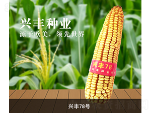 �˷�78��-��������-�˷���ҵ