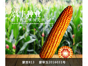 �ɼ�813-��������-�˷���ҵ