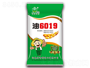 15kg��6019-������-������ҵ
