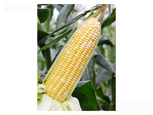 ������218-��������-��֮Դ