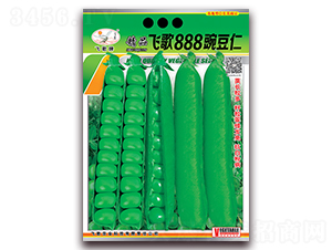�ɸ�888�㶹��-�㶹����-�ɸ�ũҵ