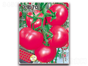 �ɸ�70-��������-�ɸ�ũҵ