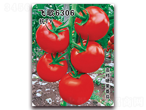 �ɸ�6306-��������-�ɸ�ũҵ