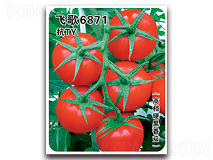�ɸ�6871-��������-�ɸ�ũҵ