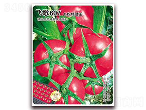 �ɸ�607-��������-�ɸ�ũҵ