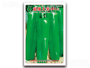 �������401-�ݽ�����-����