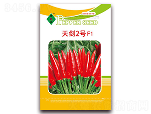 �콣2��-���콷����-����