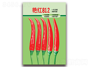 �޺�812-���콷����-����