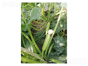 ����3027-����«����-���ũҵ