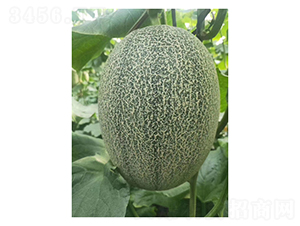 ¥���ܴ��25-�������-���ũҵ