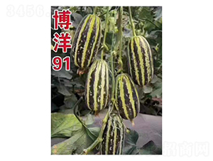 ����91-�������-���ũҵ