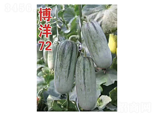 ����72-�������-���ũҵ