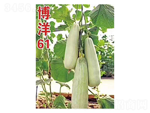 ����61-�������-���ũҵ
