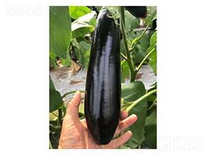 765����-��������-���ũҵ