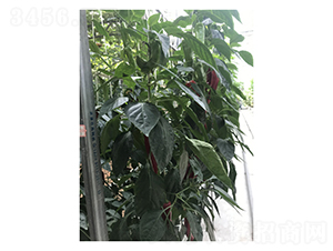 Ѹ��37-74-��������-���ũҵ