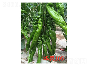����105-��������-���ũҵ