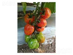 �Բ�ӣ�ҷ���-��������-���ũҵ