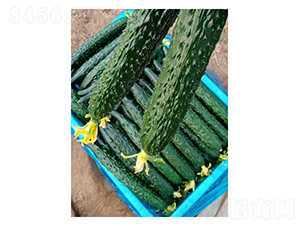 ����778-�ƹ�����-���ũҵ