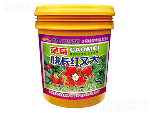 ����ֲ��ˮ�ܷ���-��ݮ�쳤���ִ�-�ֵ���