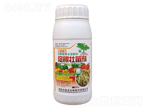 500g�ٸ�׳���-�ֵ���