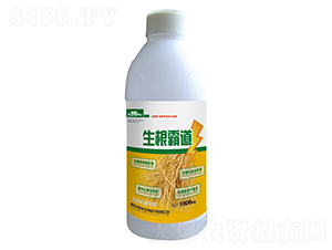 1000g���Ե�-�ֵ���