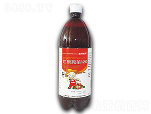 �ø�����120-�ο�ֲ��-������˹