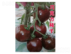 �ɿ�����������-��ϲũҵ