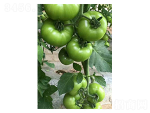ŷ��308-��������-��ϲũҵ