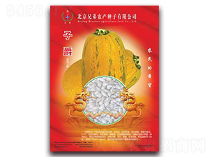 �Ӿ�-��������«����-�ֵ�