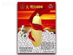 ����1000-��������«����-�ֵ�