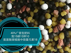 40%�����ͷ���15-15-10-��ũũҵ