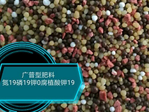 �����ͷ���19-19-0-��ũũҵ