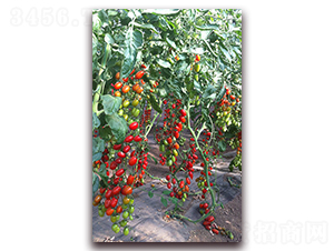 ����207ӣ�ҷ���-��������-��������