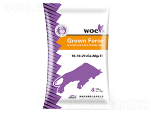 ����Ԫ��ˮ�ܷ���18-10-27+Ca+Mg+TE-�ֶ���ҵ