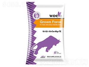 ����Ԫ��ˮ�ܷ���10-55-10+Ca+Mg+TE-�ֶ���ҵ