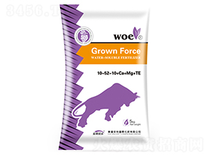 ����Ԫ��ˮ�ܷ�10-52-10+Ca+Mg+TE-�ֶ���ҵ