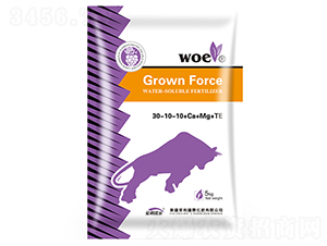 ����Ԫ��ˮ�ܷ�30-10-10+Ca+Mg+TE-�ֶ���ҵ