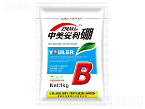����������-�ֶ���ҵ