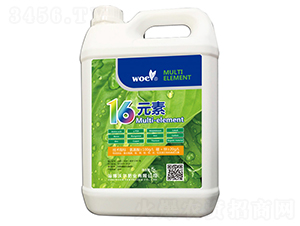 16Ԫ��-�ֶ���ҵ