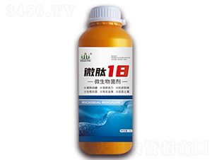 ΢�������-΢��18-̩������