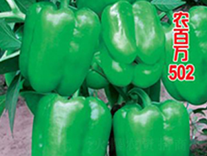ũ����502-������-ũ����
