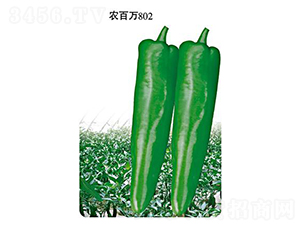 ũ����802-�ݽ�����-ũ����